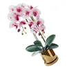 Dekorativa blommor simulerade bonsai falska konstgjorda blommor dekor bröllop simulering siden tyg phalaenopsis