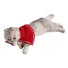 Dog Apparel Costume Witch Puppy Cape Clothes Outfit For ( Red )