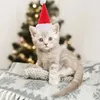 Cão vestuário chapéu de natal para hamster santa pequeno traje roupas headwear acessórios de cabelo gerbil guiné-