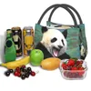 Bonito Panda Gigante Saco de Almoço Isolado para Mulheres Portátil Animal Amante Thermal Cooler Lunch Tote Office Picnic Travel E0oC #