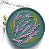 Decoratieve bloemen 100 stuks geperst gedroogde paarse bloem planten herbarium voor epoxyhars sieraden maken make-up gezicht bladwijzer nagelkunst ambacht