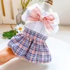 Cão de estimação roupas primavera verão maçã pescoço vestido princesa grade filhote de cachorro bonito saia casual tutu casaco para pequenos aparelhos 240320