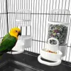 Bird Water Drinker Feacher Container Automatisk Birdcage Water Bottle Plastic Transparent Bird Drinking Fountain Dispenser Parrot