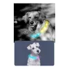 Dog Collars LED Colorful Light Collar Cuttable Rainproof Rechargeable USB Safe At Night Soft Silicone Ring