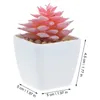 Fiori decorativi 10 pezzi piante succulente artificiali figurine di cactus in miniatura modelli bonsai in vaso micro paesaggio piante grasse in plastica