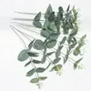 Fleurs décoratives 10 pièces feuilles d'eucalyptus artificielles fausse plante décoration de noël Vase décor à la maison décorations de mariage de jardin