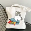 japan Mofusand Cat White Canvas Women Shop Bags Animal Girl Shoulder Cloth Bags Reusable Shopper Teacher Student Book Bags Y8Q9#