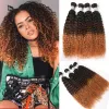 1B/4/27 Colored Kinky Curly Human Hair Bundles 10A Hair Curly Weave 1/3/4 Bundles Maxine Afro Kinky Curly Human Hair Extensions