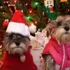 Hundebekleidung, Weihnachtsmütze, festliche Haustiermützen, bezaubernde, bequeme Anti-Fall-Weihnachtskostüme für Katzen, Hunde und Haustiere