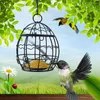 Inne dostawy ptaków 2PCS Feeder Iron z wiszącym łańcuchem wiewiórki Feeders Home Ogród Outdoor Food Hummingbird