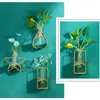 Vases Home Decor Wall Hanging Planter Terrarium Glass Creatives Metal Hydroponic Container For Office