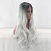 かつらシミラーの女性用オンブルシンセティックウィッグロングカーリー耐熱性髪の黒から灰色の中央部