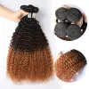 1B/4/27 Colored Kinky Curly Human Hair Bundles 10A Hair Curly Weave 1/3/4 Bundles Maxine Afro Kinky Curly Human Hair Extensions