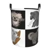 Laundry Bags Cute Lazy Koala Bear Napping Basket Foldable Large Capacity Clothing Storage Bin Zoo Animal Hamper Dirty Clothes