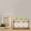 Vazen Houten frame Hydrocultuur Groene plantencontainer Transparant glas Pothos Hartvormige vaasstandaard