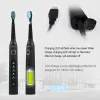 Heads SeaGo Sonic Electric Dething Brosse SG507 pour les têtes de remplacement de la brosse à dents rechargeables du chargeur USB Chargeur USB