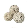 Autres fournitures d'oiseaux 3 comptes Hamster Chew Toy Sola Boules de recherche de nourriture 2,36 pouces de diamètre Boule de plante douce déchiquetable pour conure pivoine