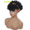 Perücken synthetische schwarze Stirnband -Perücke Kurzbraunes Leinen Afro gekinky lockige Perücken mit Pony for Women täglich Gebrauch Haare