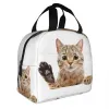 Niedliche schottische Katze späht Lunchtasche, auslaufsicher, Picknick, isoliert, warm, Kühler, Thermo-Lunchbox für Frauen und Kinder, Tragetasche v7Hb #