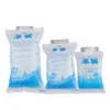 10-stcs/set goedkope geïsoleerde herbruikbare droog koud ijs pack gel koeler in aangepaste tas voor medische eten lunchbox blikjes wijn pvc y30f#