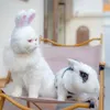 Abbigliamento per cani Copricapo per gatti Cappello in cotone Vestito attraente per animali domestici con orecchie da cartone animato adorabili