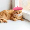 Hundkläder Cat Hat Pet Cosplay Headgear Decor Badrum Dekorationer Födelsedagsfest CAP -tecknad