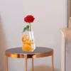 Vasi Vaso idroponico Decorazioni per la casa Tubo Fiore Vetro per fiori Tavolo da pranzo Centrotavola Animale con