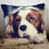 Pillow Custom Cover With Your Wedding Pictures Text Logo Images 18" Personalized Case For Sofa Bed Chair 30x50cm 50x70cm