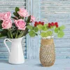 Vases Vase en verre de paille rustique pour plantes rotin tissé arrangement de fleurs séchées pot de jardinière décoratif