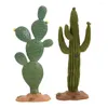 Figurines décoratives Micro paysage Cactus petite plante en pot breloques en résine simulation de table ornement artisanat décoration de bureau à domicile