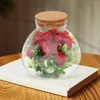 Vazolar Terrarium kase vazo vitroleros para mini dekoratif mikro peyzaj kabı
