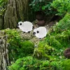 Décorations de jardin 8 pcs artisanat micro paysage plantes en pot mini statue de mouton statues figurines ornements