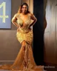 2024 Plus Size Gold Prom Dresses for Black Women Illusion Evening Dresses Elegant Long Sleeves Appliqued Lace Birthday Dress for African Special Occasions AM611