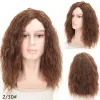 Wigs OUCEY Curly Hair Synthetic Wigs for Men Cosplay Wigs Male Black Brown Synthetic Wig High Quality Fluffy Nightclub