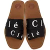 Designer Sandal Luxury Man Woody Clog Mule Sandale plate Slide Lettre Mocassins Tazz Slipper Femme Rose Rouge Pantoufles Summer Beach Platfor