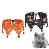 Obroże dla psów Halloween do regulowanego kołnierza dostarczania kota szyi szyi rozciągający naszyjnik choker
