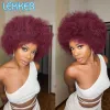 Lekker Afro Kinky Balk Curly Human Heuving Coids Crochets Brazilian Remy Hair Colored Traiding Extensions 1 Bundle 50g / PC Pas de trame