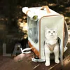 Nośniki dla kotów deszczowy przewoźnik panoramiczny oddychający przenośny uchwyt na zewnątrz mody plecak na płótnie torba skórzana mochila gato pies noszenie