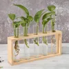 Vases Cadre en bois Vase en verre transparent Bonsai Fer Ornement de bureau pour la maison Salons Bureau Décoration créative