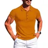 남성용 T 셔츠 10 색! 2024 여름 레저 피트니스 티셔츠 높은 탄성 수직 스트라이프 짧은 슬리브 폴로 슬림 한 니트 셔츠