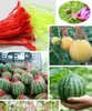 Sacs de rangement 100pcs sac net dans la cuisine réutilisable pratique maille fruits légumes emballage le snack de supermarché