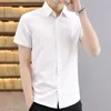 Chemises décontractées pour hommes, chemise imprimée à col polo, vêtements masculins, été 2024, tendance coréenne, simple boutonnage, manches courtes