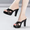 Dress Shoes Plus Size 32-43 Open Toe Block Heel Summer Slippers Woman 2024 High Heels Women Office Platform