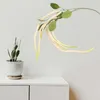 Decorative Flowers Simulated Hanging Rice Wedding Ceiling Soft Decoration Fake Home (tail Amaranth White Green) False Plant Branch Garland