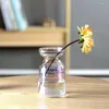 Vasen Hydroponic Seed Starter Vase Geschenk Transparente Glühbirne wächst für Glasblume