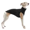 Abbigliamento per cani Giacca a due zampe Levriero italiano Gilet caldo Cappotto pullover per animali domestici Whippet per piccole medie grandi