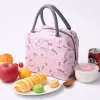 Mittagessen Tasche Büroangestellte Bringen Mahlzeiten Thermal Beutel Kind Picknick Getränke Snack Obst Frisch Halten Handtaschen Lebensmittel Taschen v1dx #