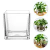 Vaser kub glas vas klar blomma behållare skrivbord hydroponic modern (10x10 cm)