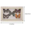 Frames Butterfly Specimen Display Frame Decorative Po Real