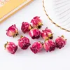 Charms 2 PCS El yapımı reçine takılar gerçek çiçek petalin kolyeler DIY küpe bulma için gül petal cazibesi